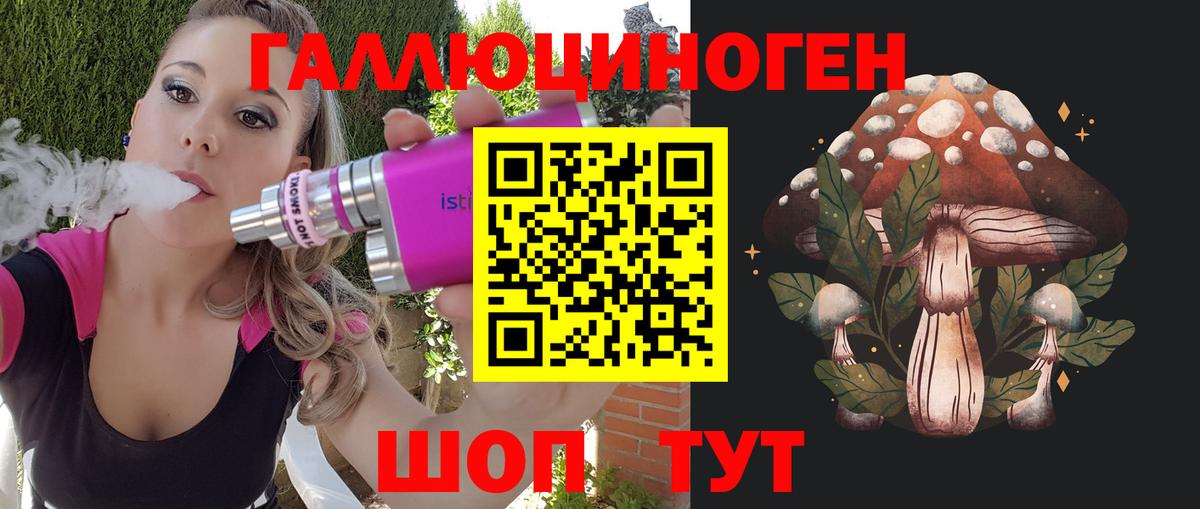 Псилоцибиновые грибы Psilocybine cubensis  Вход с VPN  Благовещенск 